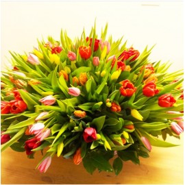 151 тюльпан в корзине